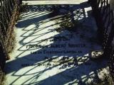 image of grave number 455773
